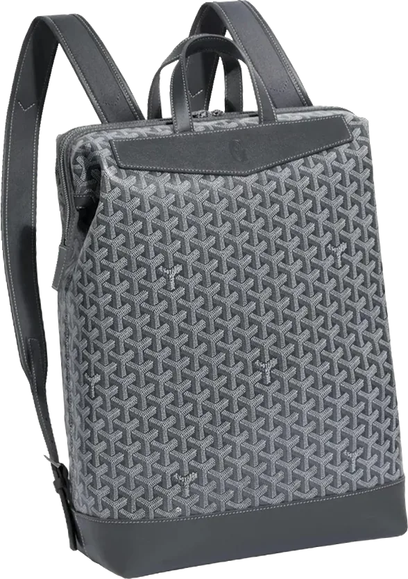 Goyard backpack in grey